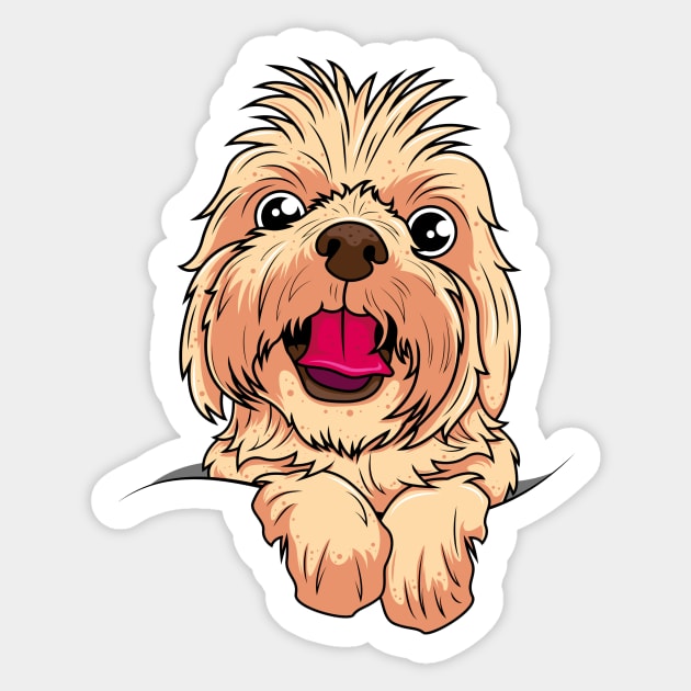 Cute Yorkshire Terrier Face Sticker by ReaBelle